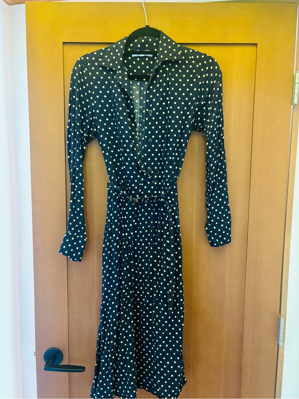 Black Polka Dot belted Dress